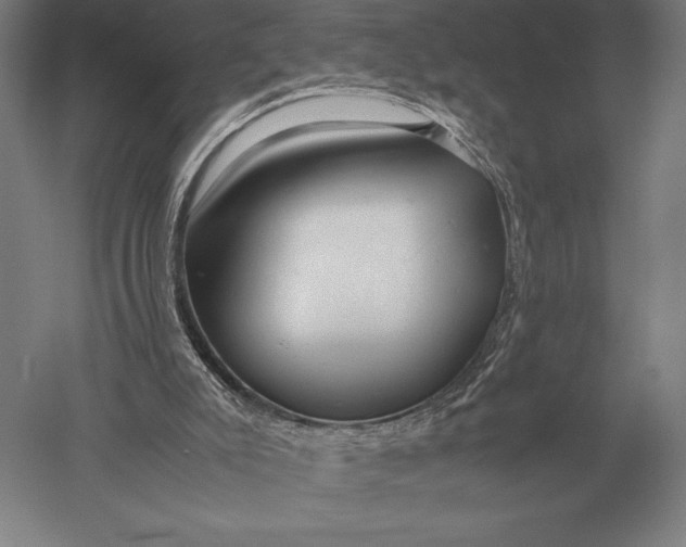 X0000051250007200507082202