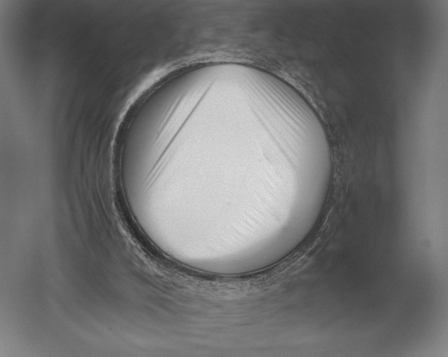 X0000051250008200507082202