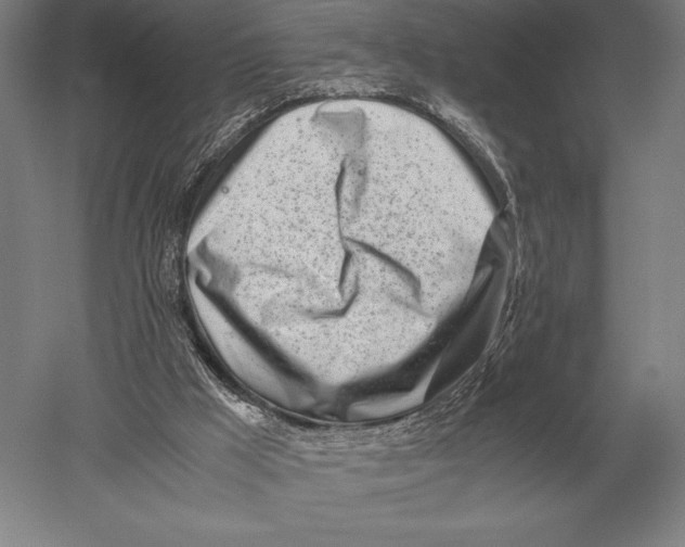 X0000051250009200507082202