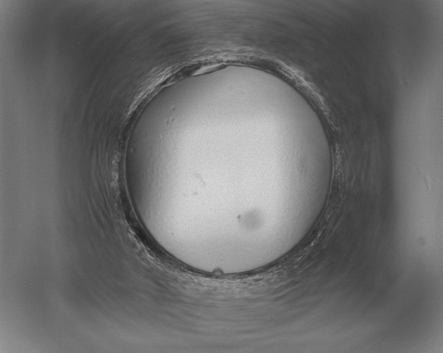 X0000051250010200507082202