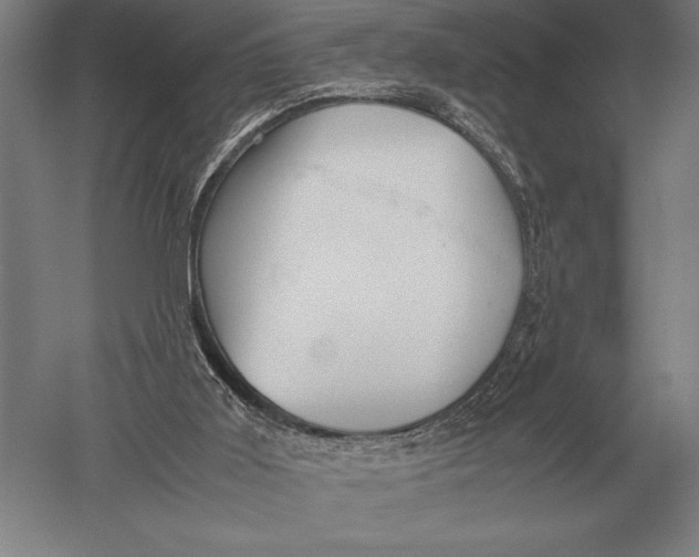 X0000051250011200507082202