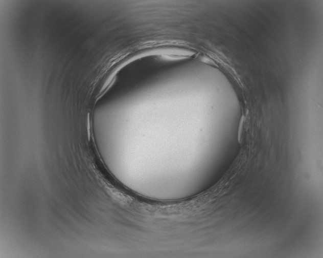 X0000051250013200507082202