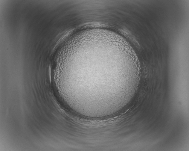 X0000051250014200507082202