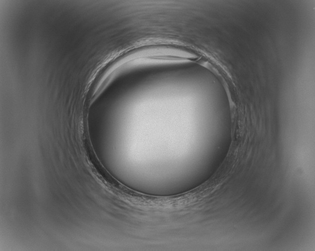 X0000051250015200507082202