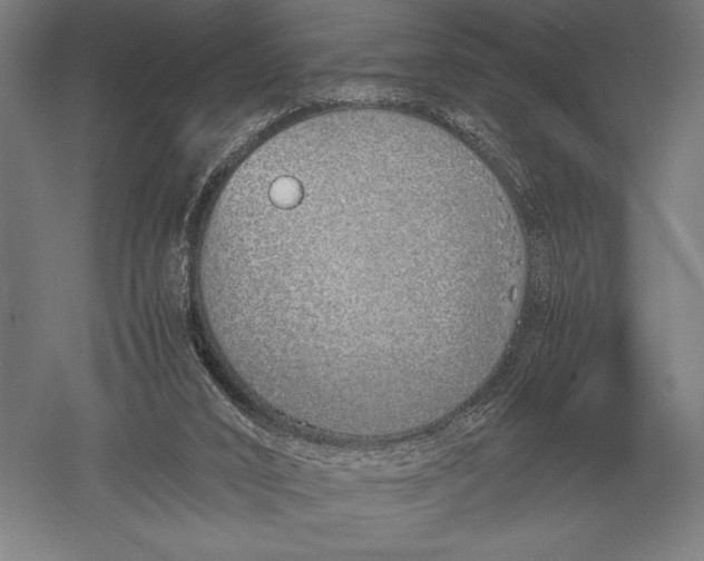 X0000051250016200507082202