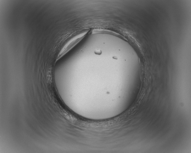 X0000051250017200507082202