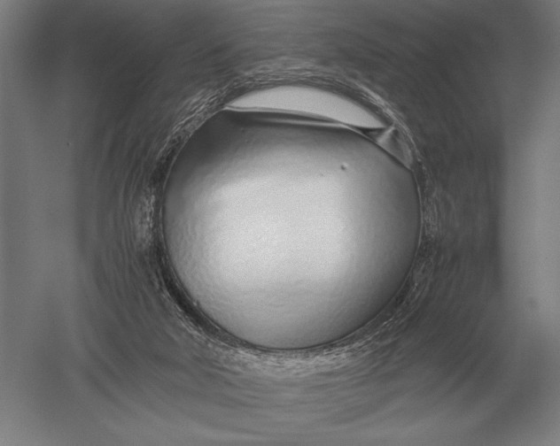 X0000051250018200507082202