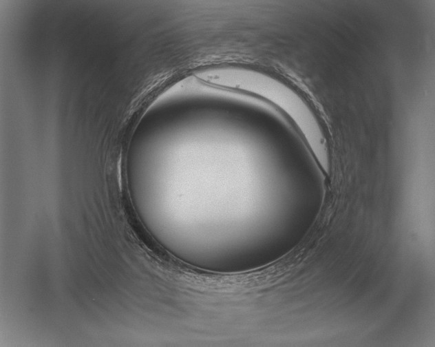 X0000051250019200507082202