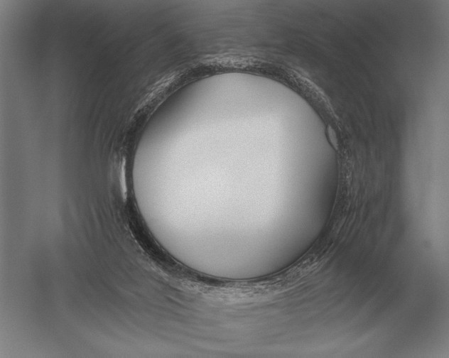 X0000051250020200507082202