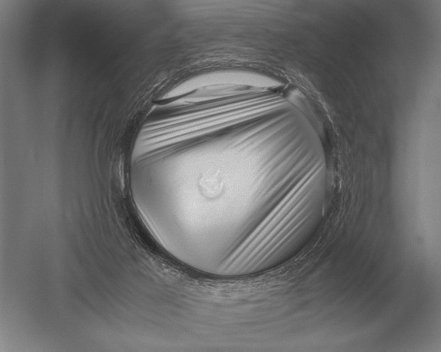 X0000051250021200507082202