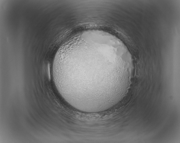 X0000051250022200507082202