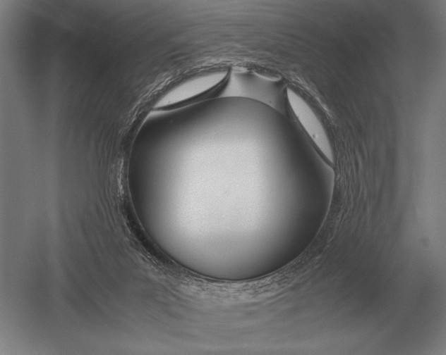 X0000051250023200507082202