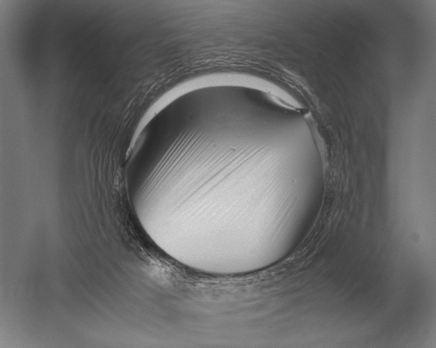 X0000051250025200507082202