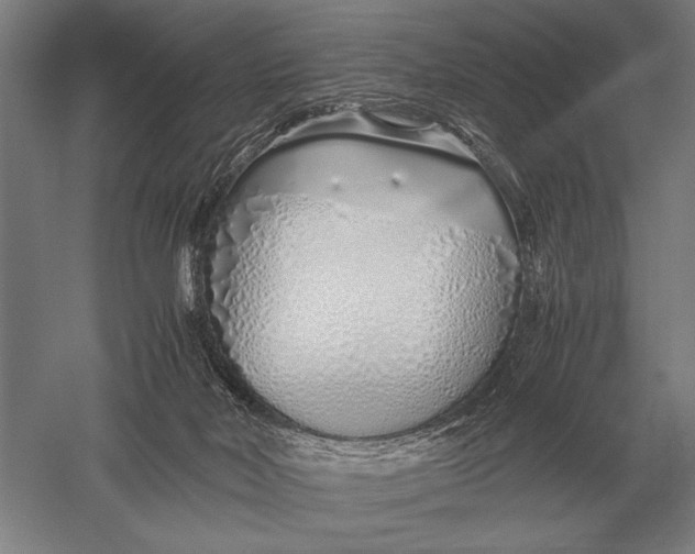 X0000051250026200507082202