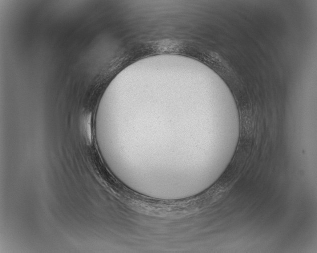 X0000051250028200507082202