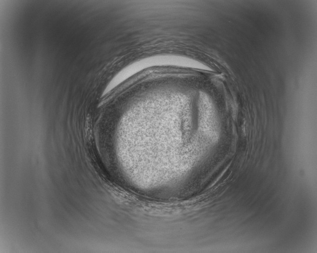 X0000051250029200507082202