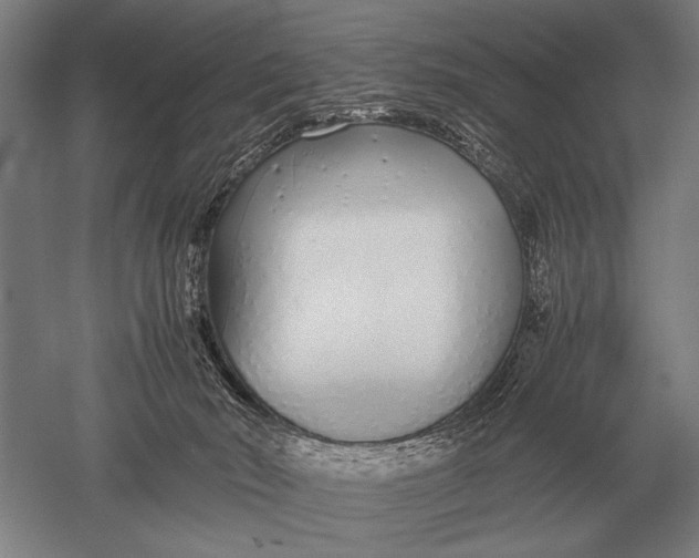 X0000051250030200507082202