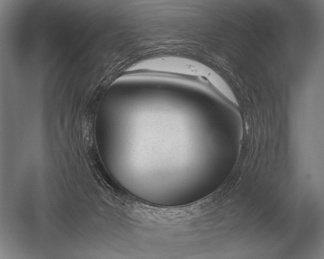 X0000051250031200507082202