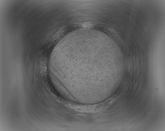 X0000051250032200507082202