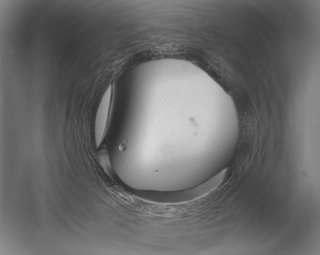 X0000051250033200507082202