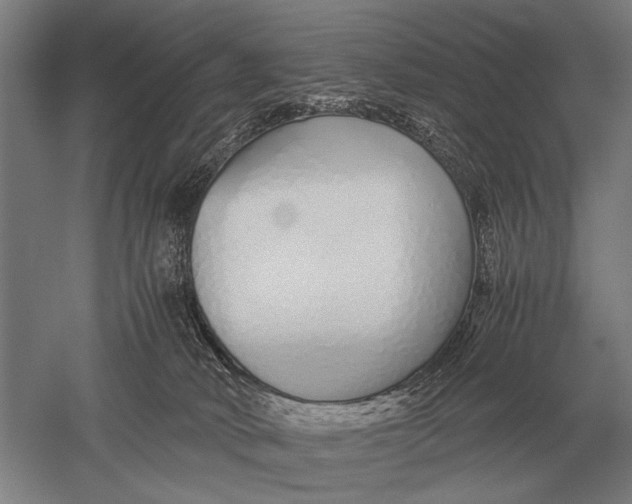 X0000051250034200507082202