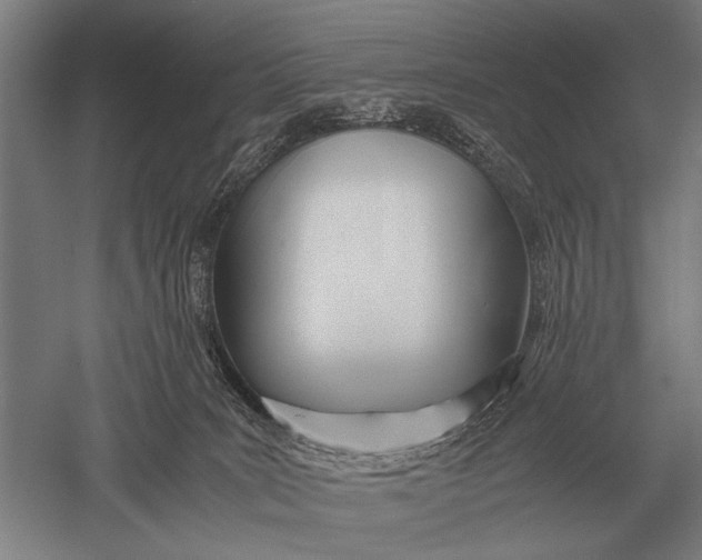 X0000051250035200507082202