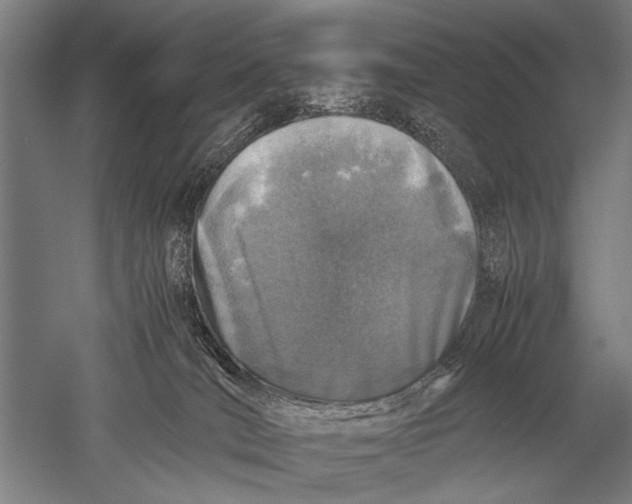 X0000051250036200507082202