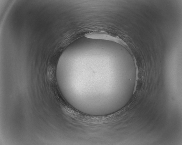 X0000051250037200507082202