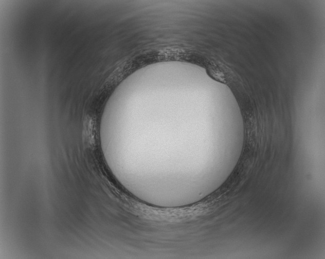 X0000051250038200507082202