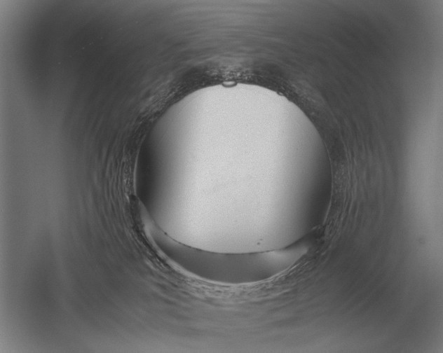 X0000051250039200507082202