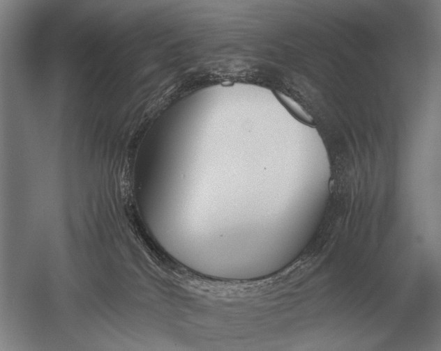 X0000051250040200507082202