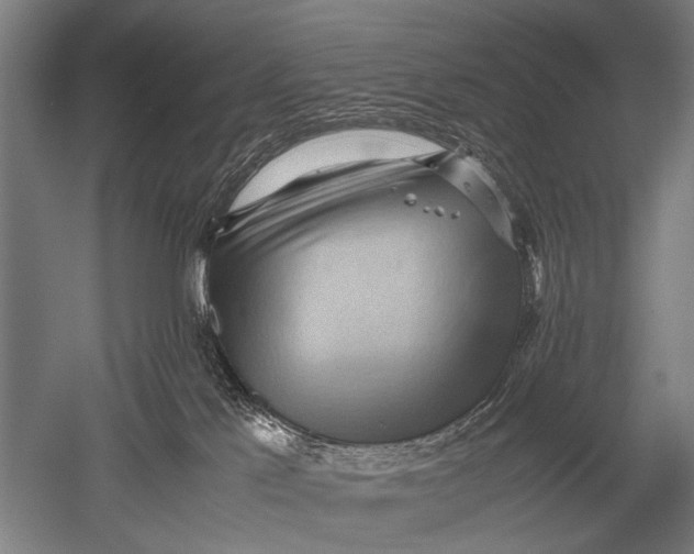 X0000051250041200507082202