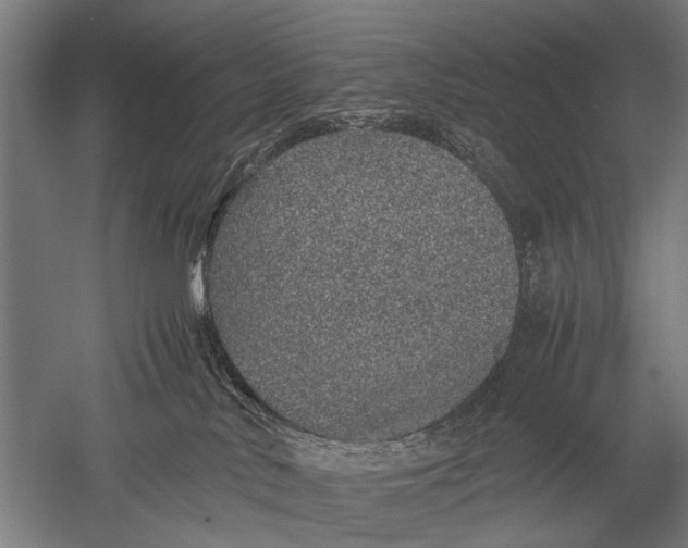 X0000051250042200507082202