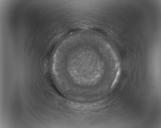 X0000051250043200507082201