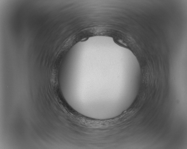 X0000051250044200507082201