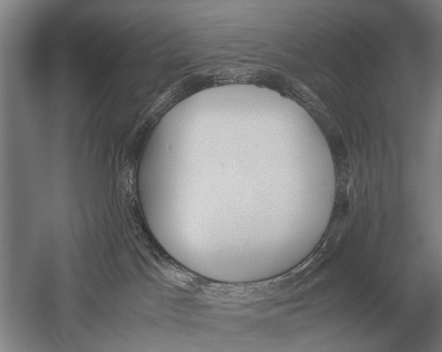 X0000051250045200507082201