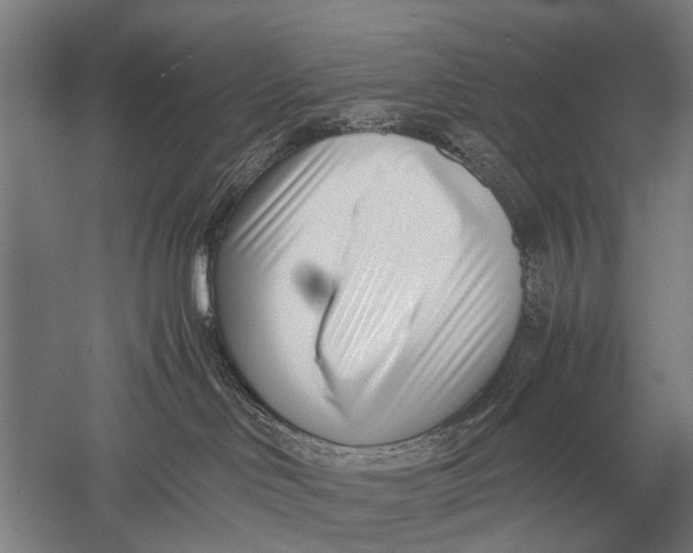 X0000051250046200507082201