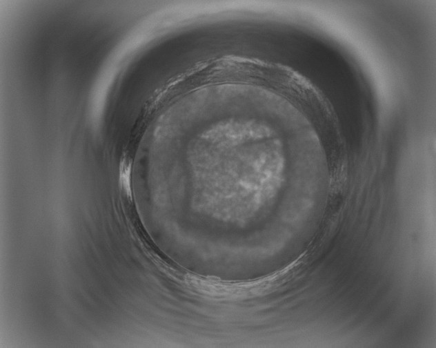 X0000051250047200507082201