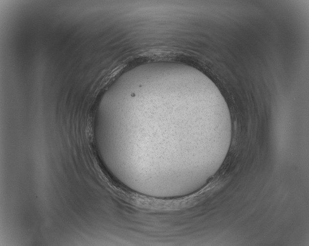 X0000051250048200507082201