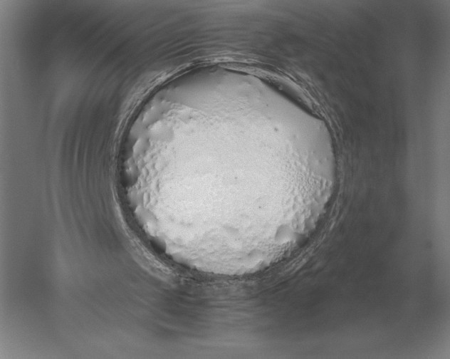 X0000051250049200507082201