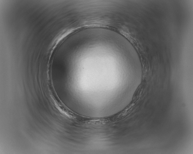 X0000051250050200507082201