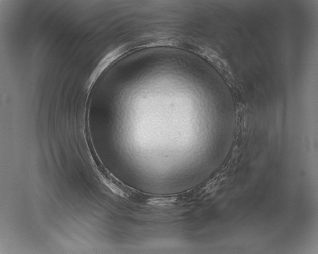 X0000051250051200507082201