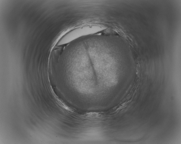 X0000051250052200507082201