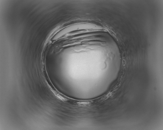 X0000051250053200507082201