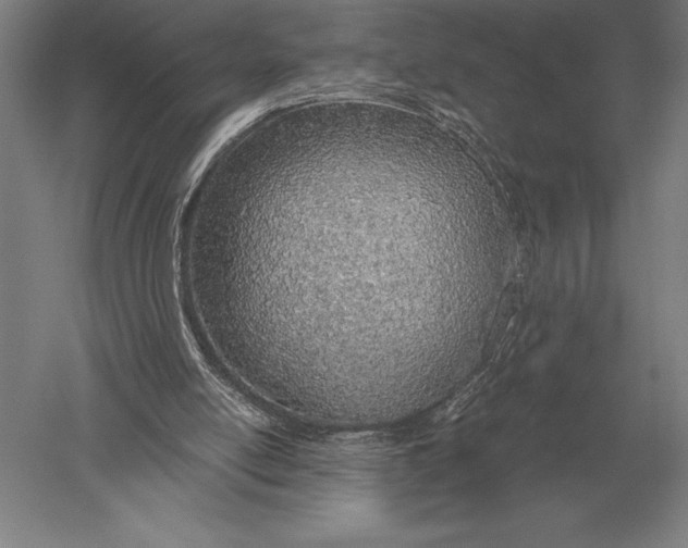 X0000051250054200507082201