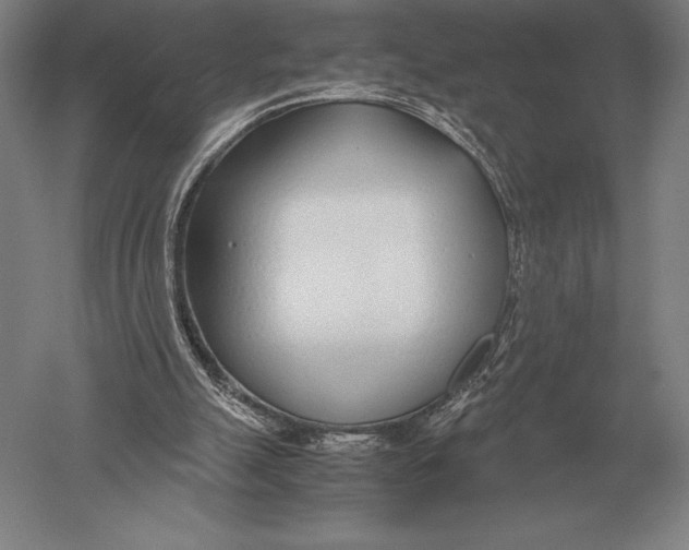 X0000051250055200507082201