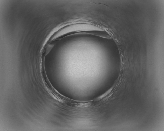 X0000051250056200507082201