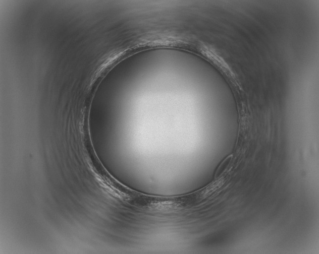 X0000051250058200507082201