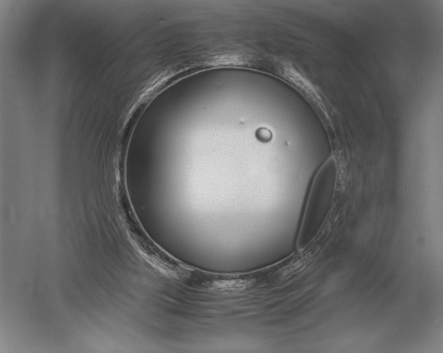 X0000051250059200507082201