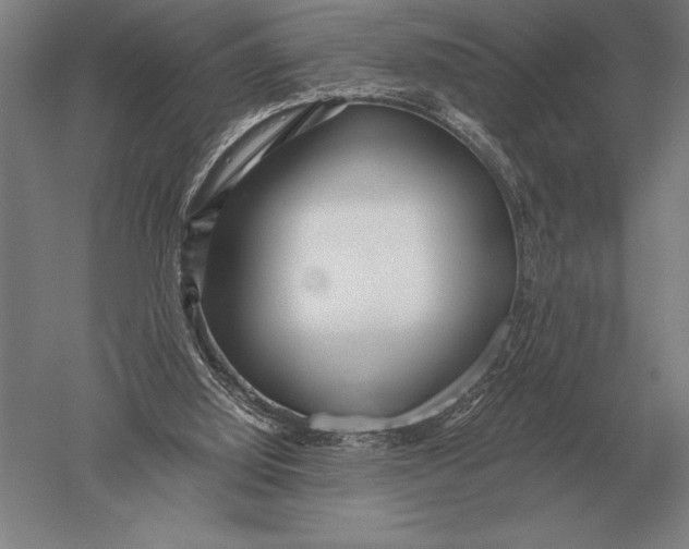 X0000051250060200507082201